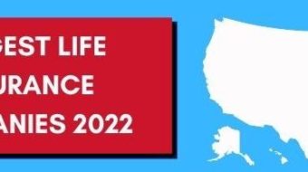 25 Largest life insurance companies 2022