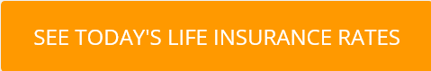 Instant term and whole life insurance quotes for today