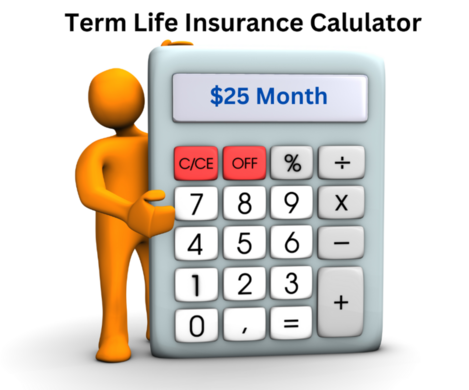 Term life insurance calculator 2024, instant rates from 20 top carriers and in-depth needs analysis to determine correct amount of coverage