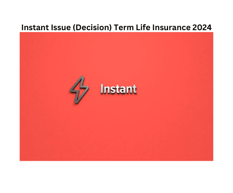 Instant term life insurance 2024 guide