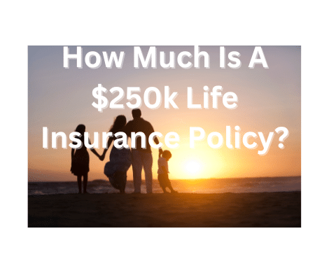 Rate charts for $250,000 term life insurance and permanent life insurance companies