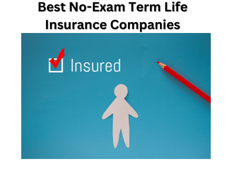 Best no-exam term life insurance companies 2024